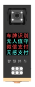 闸机伴侣车牌识别
